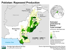images\PK\cropprod\Pakistan_Rapeseed_preview.png